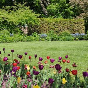 pexels alex ohan 2150877096 32307991